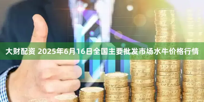 大财配资 2025年6月16日全国主要批发市场水牛价格行情
