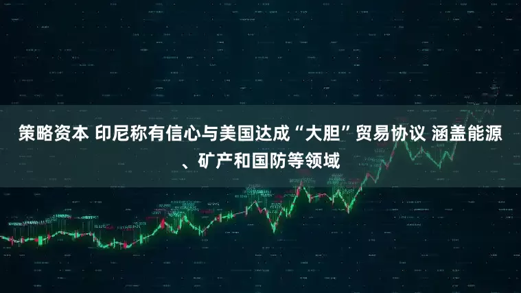 策略资本 印尼称有信心与美国达成“大胆”贸易协议 涵盖能源、矿产和国防等领域