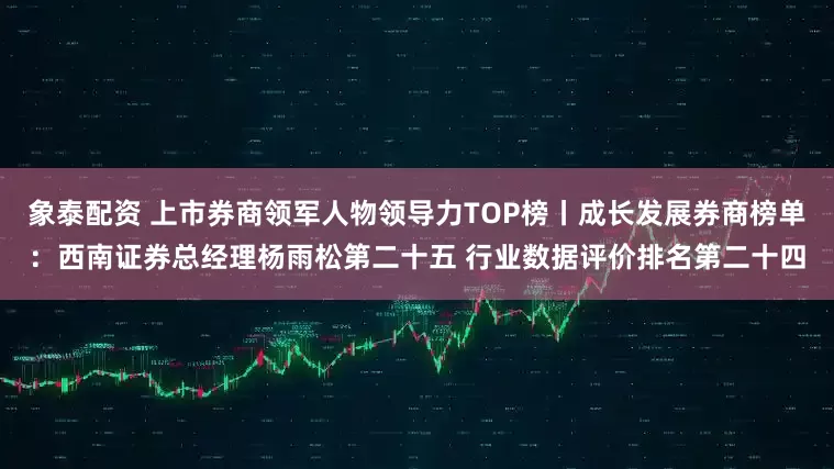 象泰配资 上市券商领军人物领导力TOP榜丨成长发展券商榜单：西南证券总经理杨雨松第二十五 行业数据评价排名第二十四