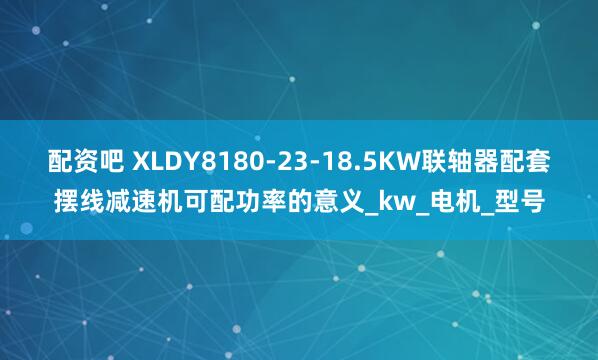 配资吧 XLDY8180-23-18.5KW联轴器配套摆线减速机可配功率的意义_kw_电机_型号
