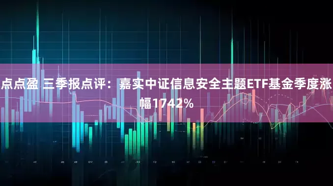 点点盈 三季报点评：嘉实中证信息安全主题ETF基金季度涨幅1742%