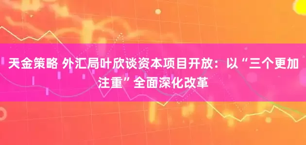 天金策略 外汇局叶欣谈资本项目开放：以“三个更加注重”全面深化改革